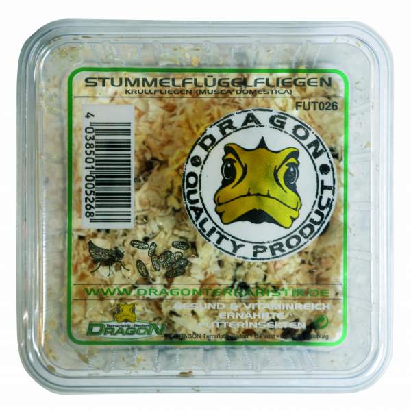 Krull _ Stummelfliegen